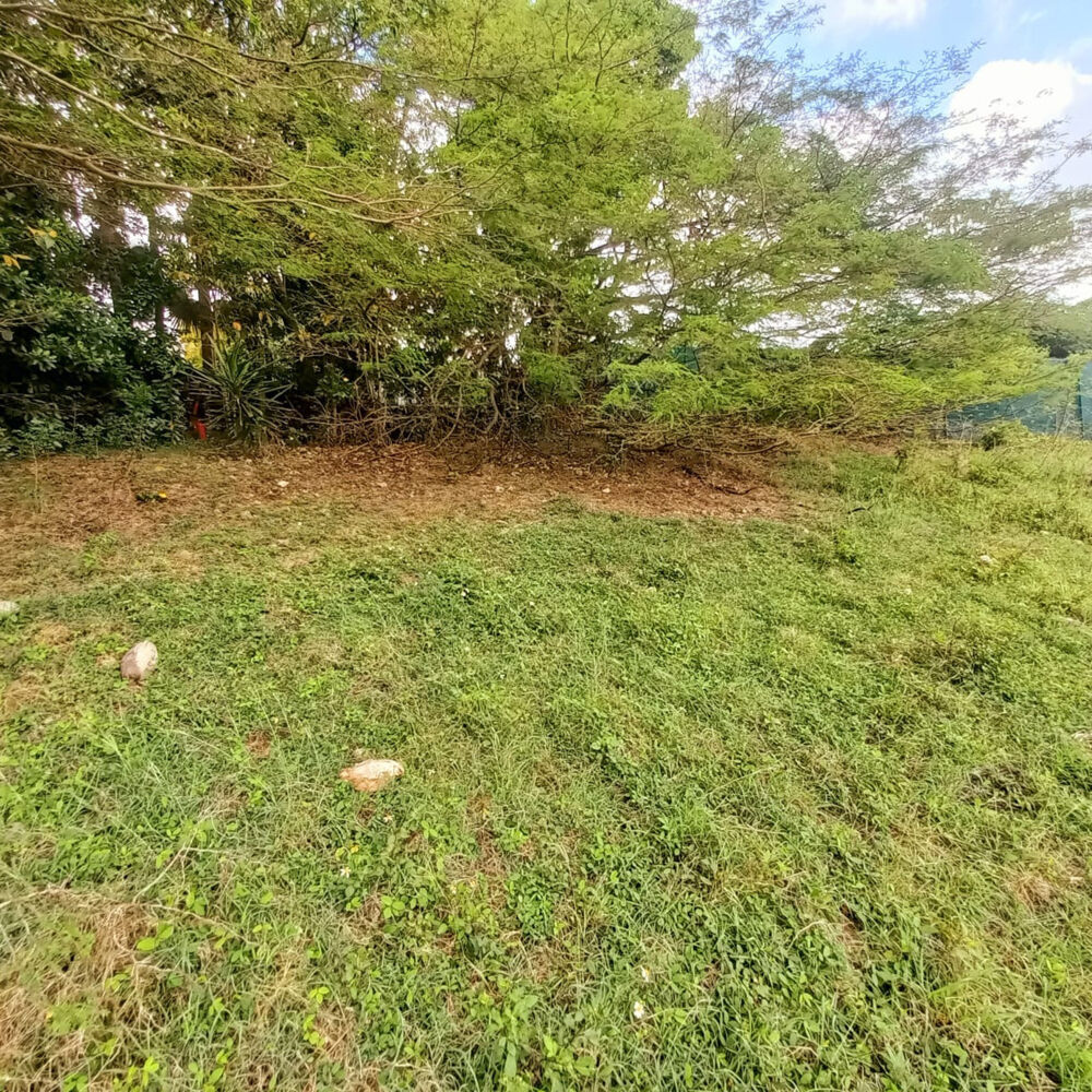 Vente Terrain Terrain constructible à vendre DAMPIERRE LE GOSIER (971) Le gosier