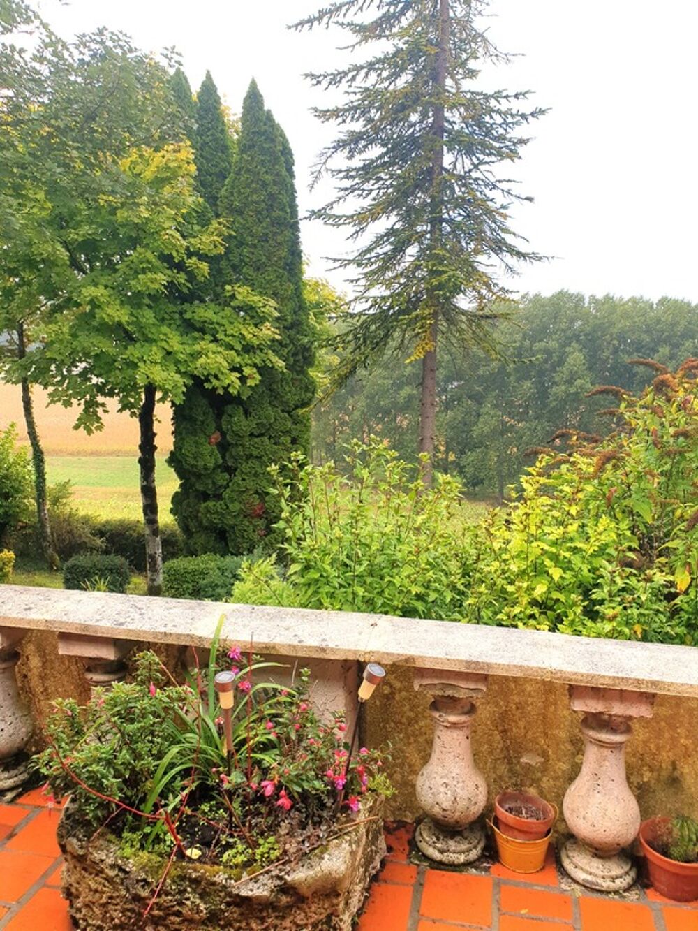 Maison viager à vendre 8 pièces SAINT FELIX (16) plain-pied, 3/4 Ch, terrain/bois 15 000 m²