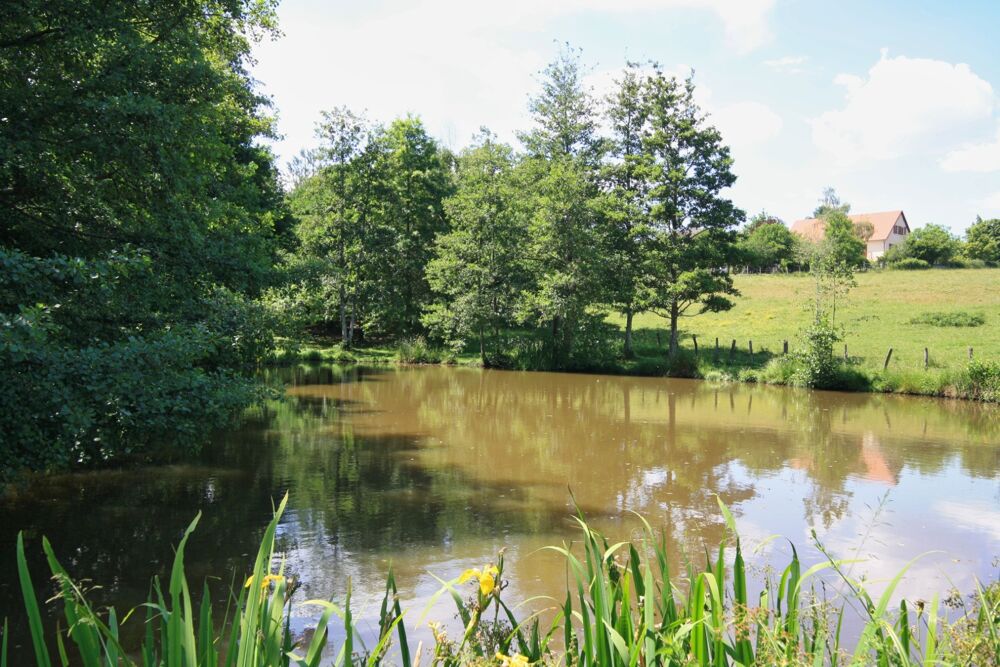 Propriété 5 chambres, avec piscine et étang sur 3 hectares