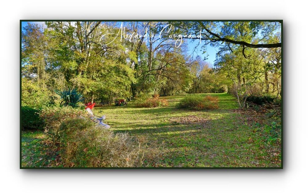A vendre Verdalle (TARN - 81) - Maison de caractère P6 développant environ 160 m² sur terrain de 2300 m²