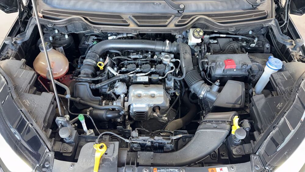 Ecosport 1.0 EcoBoosst 125 Titanium 2019 occasion 66510 Saint Hippolyte