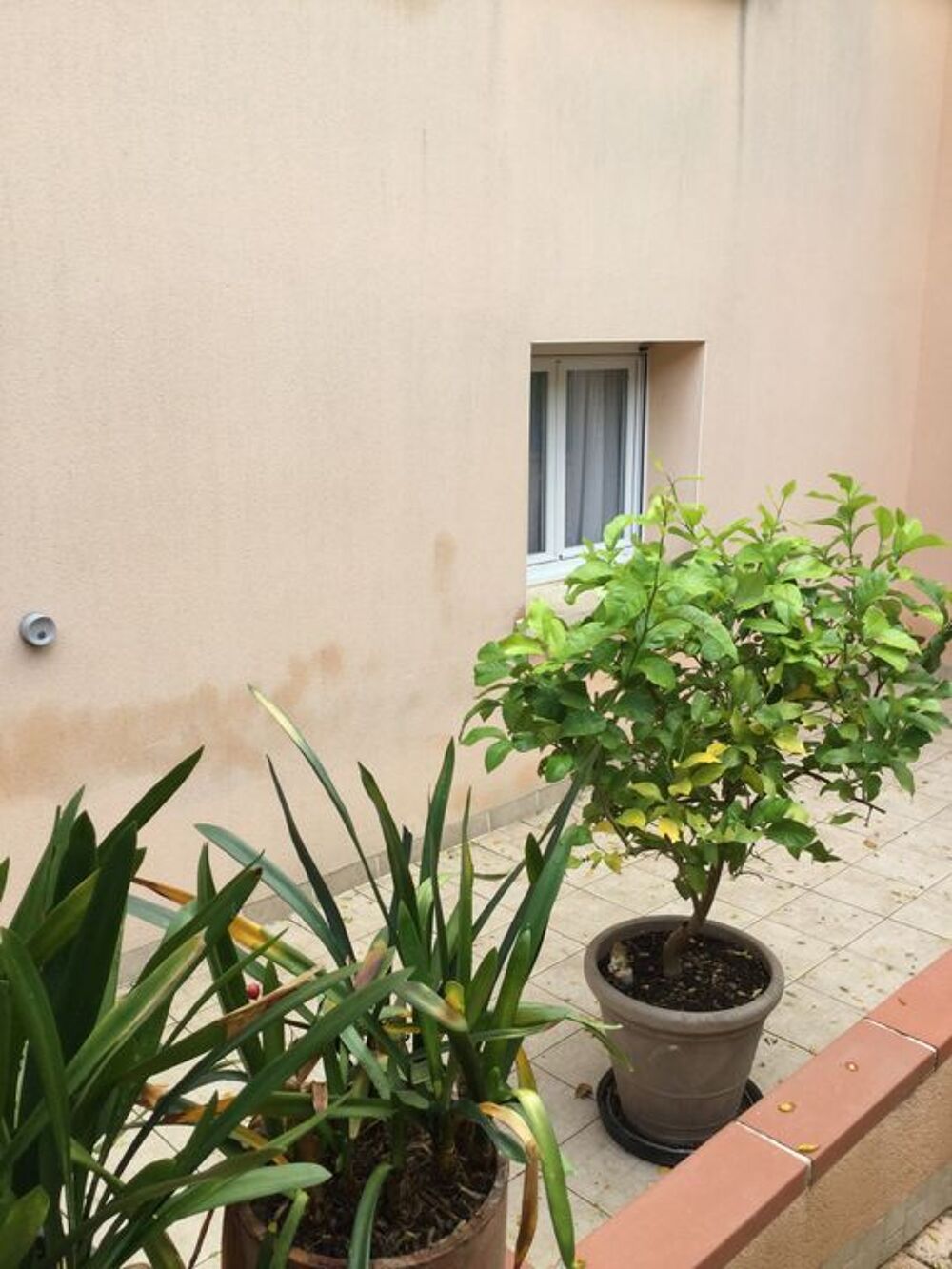 Studio de 35m2 à louer sur Castres