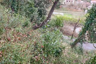  Terrain � vendre 1003 m�