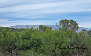  Maison � vendre 7 pi�ces 176 m�