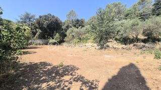  Terrain à vendre 1005 m²