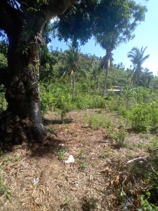  Terrain � vendre 596 m�