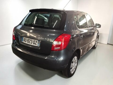 Fabia 1.4 TDI 80 PEP'S 5P 2009 occasion 06640 Saint-Jeannet