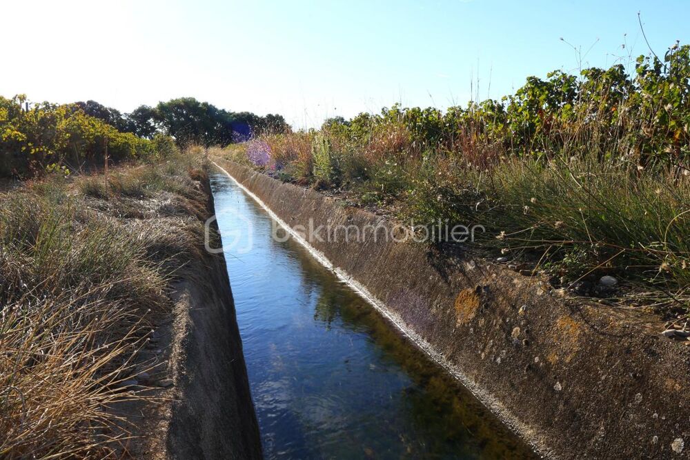 Vente Terrain Domaine viticole BIO de 9 hectares au cœur de l'Hérault Ceyras