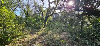  Terrain � vendre 1309 m�