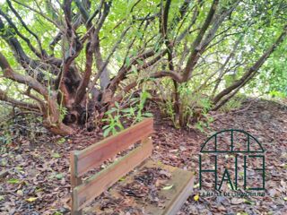  Terrain � vendre 1682 m�