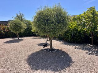  Villa à vendre 4 pièces 77 m²