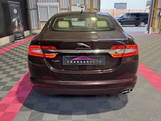 XF 2.2 Diesel PRESTIGE 2015 occasion 56120 Les Forges De Lanouee