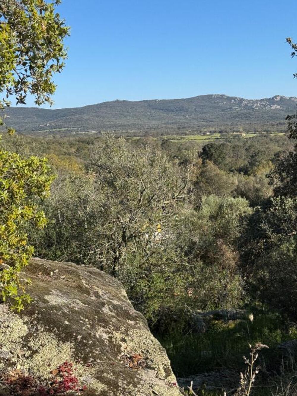 Vente Maison Bergerie d'exception au coeur du maquis ? Porto-Vecchio Sotta