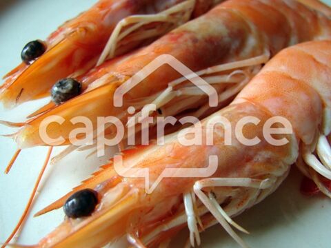Dpt Charente Maritime (17), &agrave; vendre  Poissonnerie 535000 17200 Royan