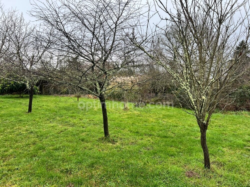 Vente Terrain Terrain à bâtir avec hangar à Langon sur cher Langon