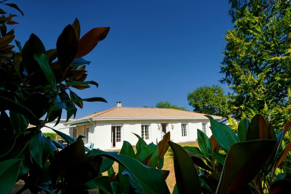  vendre  Maison Cestas (33610)