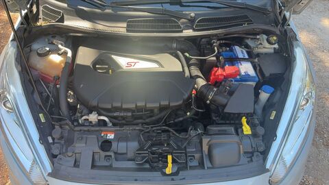 Fiesta 1.6 EcoBoost 200 ST 2016 occasion 13300 Salon De Provence