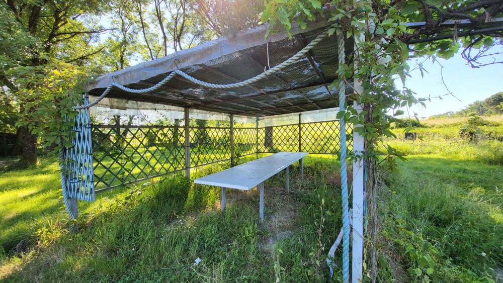 241300 Maison Bosset 5 pièces de plain pied 103 m2 à rénover sur parcelle de 2237 m²