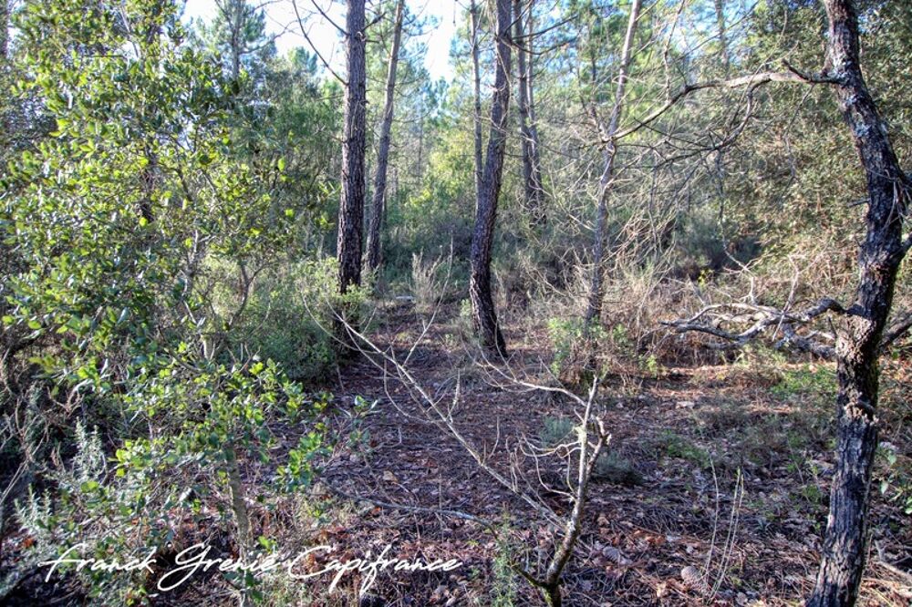 Vente Terrain Terrain naturel 55050m²  TOURVES (83) Tourves