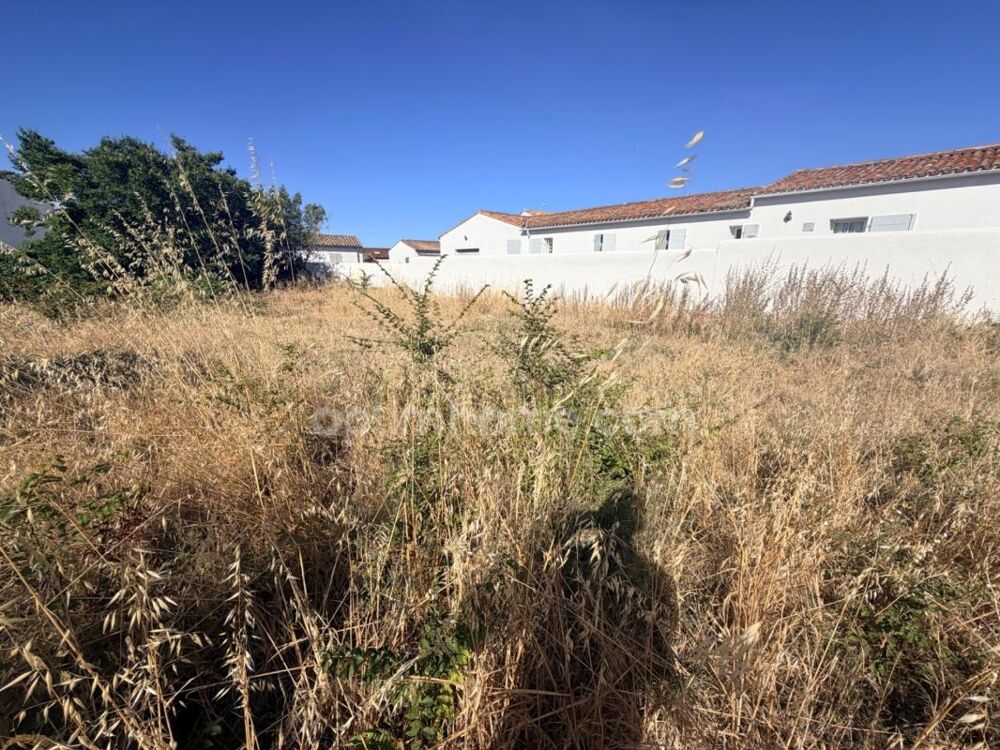 Vente Terrain GRAND TERRAIN À BÂTIR - POTENTIEL MULTI-PROJETS -EXCLUSIVITÉ Le bois plage en re