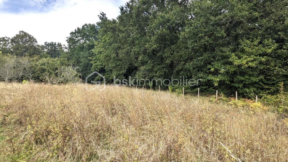 Vente Terrain TERRAIN CONSTRUCTIBLE Perigueux