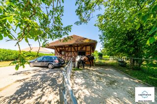  Ferme à vendre 10 pièces 238 m²