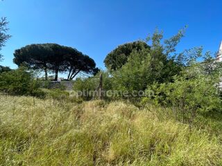  Terrain  vendre 250 m