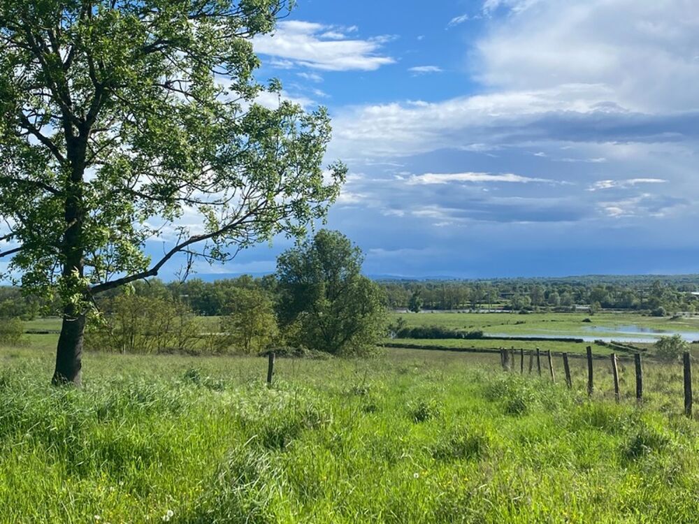 Vente Terrain À vendre Saône et Loire – Digoin Terrain de 4 560 m² avec vue dégagée exceptionnelle Digoin