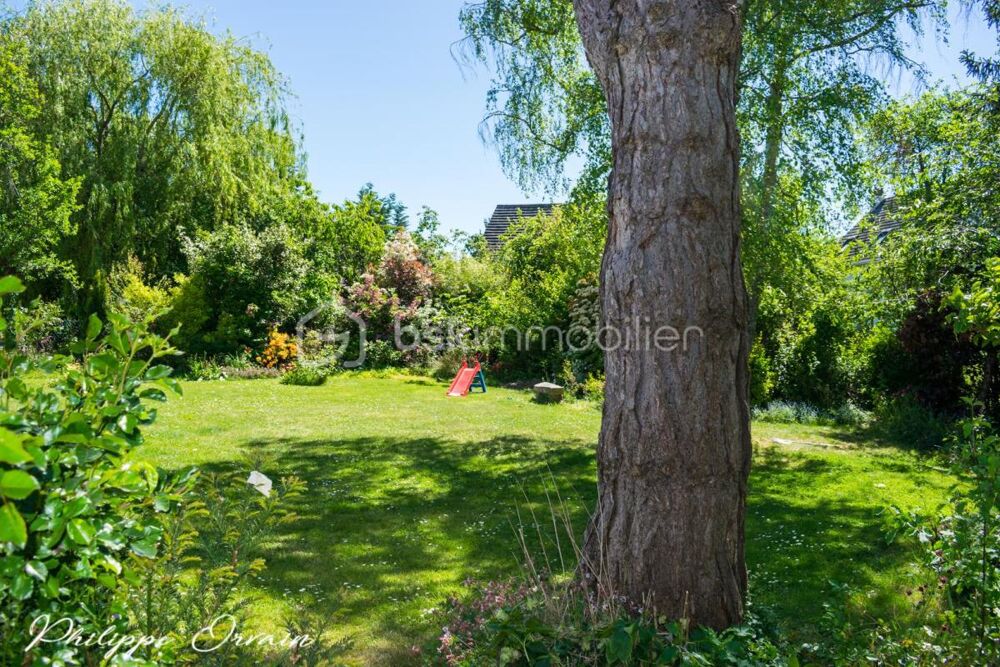 ? Maison familiale de charme avec jardin arboré  sous-sol total