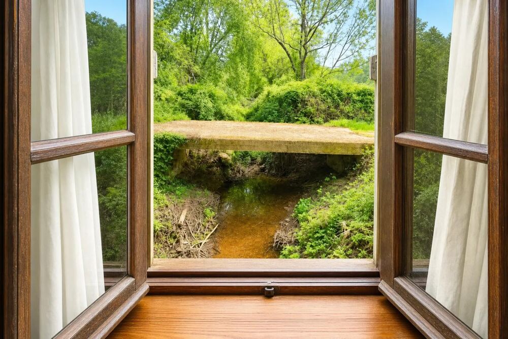 Vente Moulin Maison de 13 pièces de 223 m² à Ozon Ozon