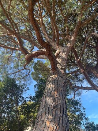  Propri�t�/ch�teau � vendre 14 pi�ces 900 m�