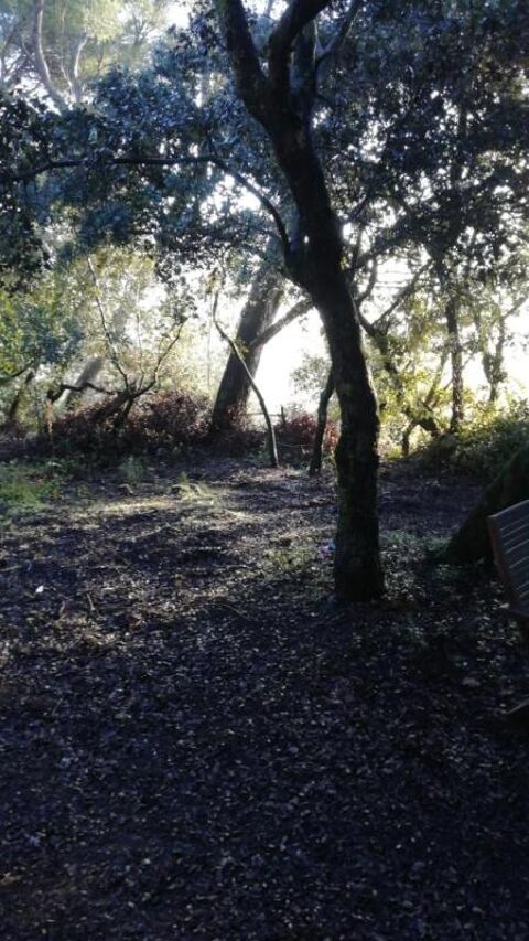  Maison � louer 2 pi�ces 50 m�