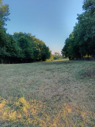 Maison à vendre 4 pièces 80 m²