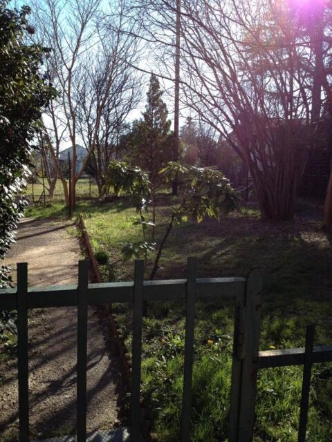  Appartement � louer 2 pi�ces 40 m�