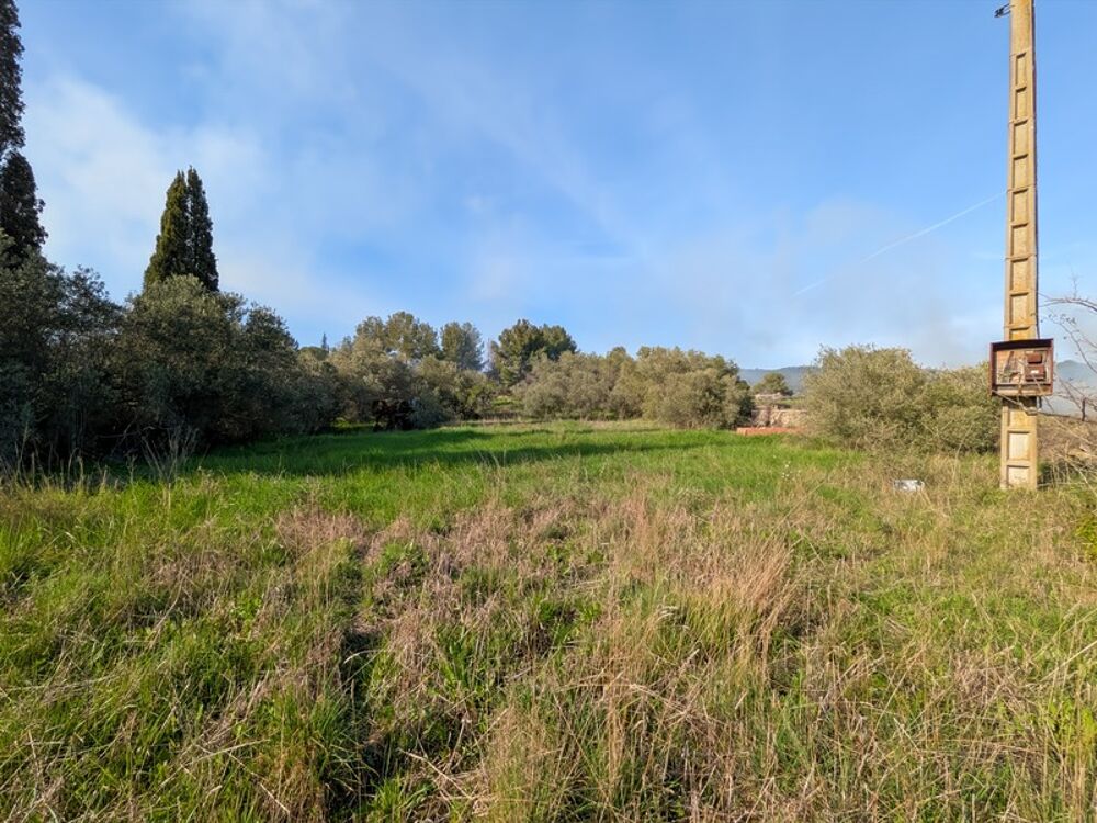 Vente Terrain Terrain de 3 730 m² avec potentiel de construction – Réseaux à proximité – Cesseras Cesseras