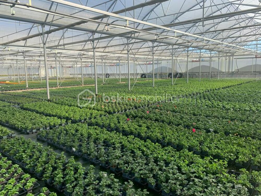 Proche Nogaro - Propriété Horticole de 3ha avec habitation