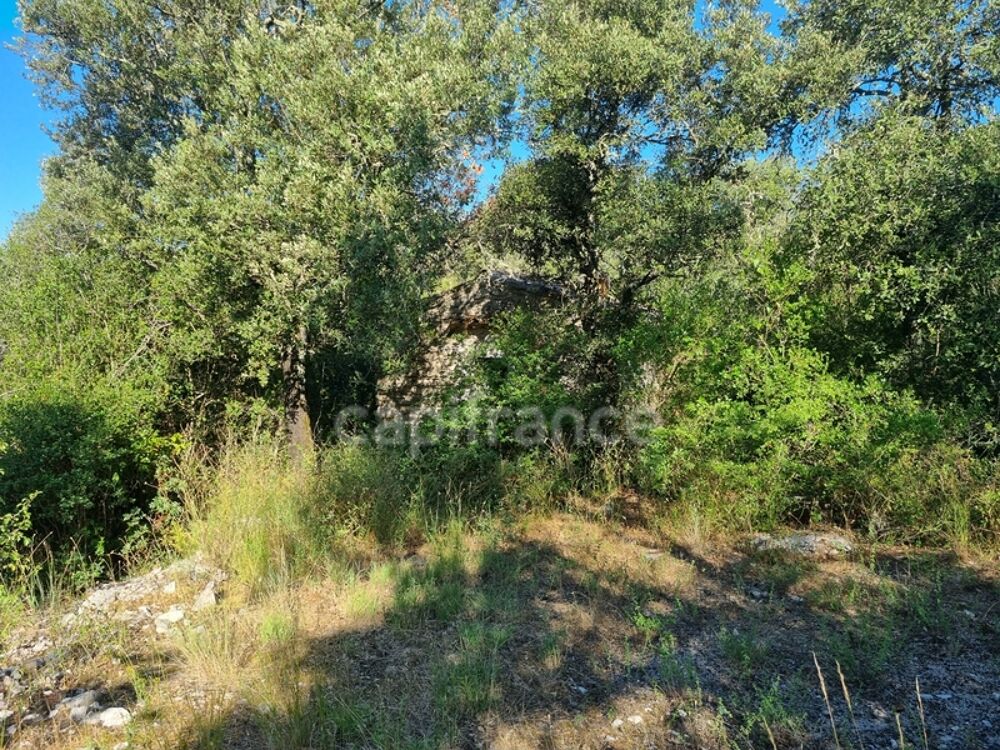 Vente Terrain 170000 m² - Vue 5