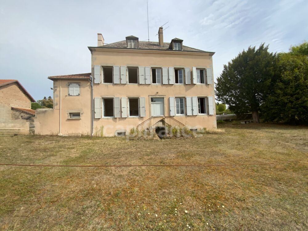 Vente Propriété/Château A  SAINT FORGEUX LESPINASSE (42) MAISON DE CARACTERE de 200 M2 avec DEPENDANCES et terrain clos de 8400M2 Saint forgeux lespinasse