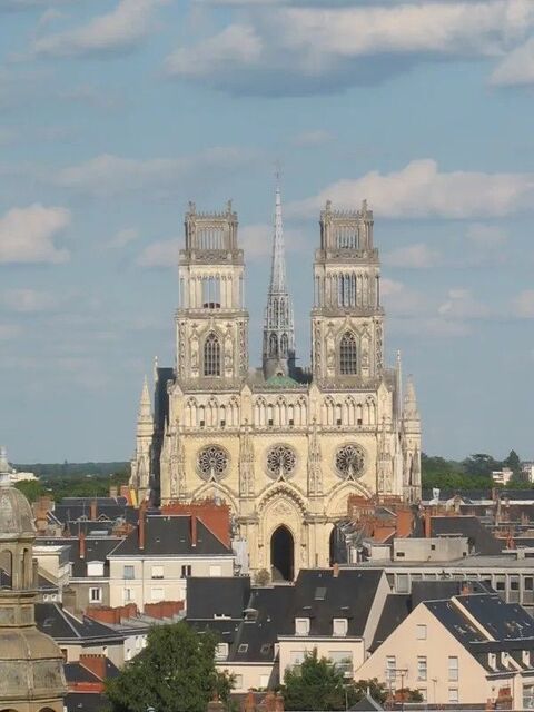  Appartement � louer 2 pi�ces 46 m� Orleans