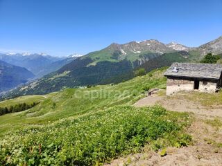  Chalet à vendre 4 pièces 141 m²