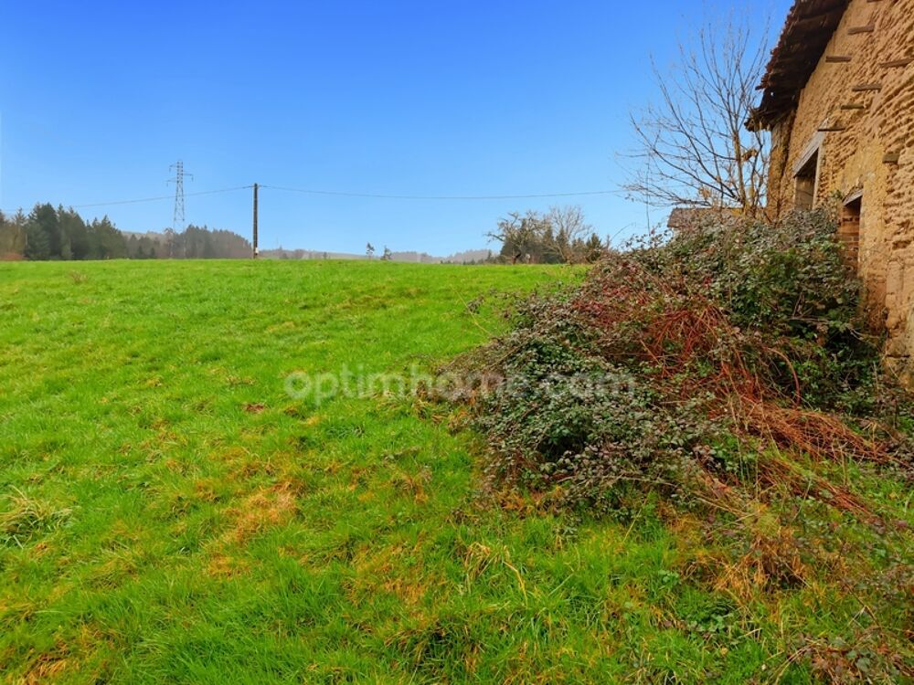 Vente Terrain Terrain à vendre de 2 975,00 m² AUGEROLLES (63) Augerolles