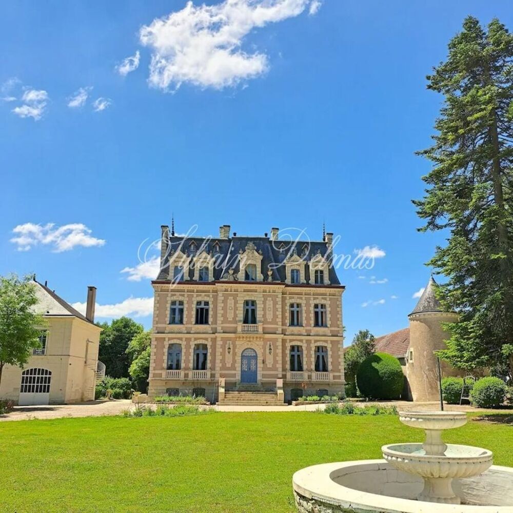 à vendre  Propriété/château Tours (37000)
