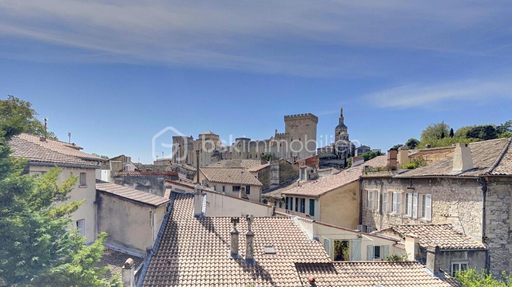 Appartement haut de gamme avec vue sur le Palais des Papes