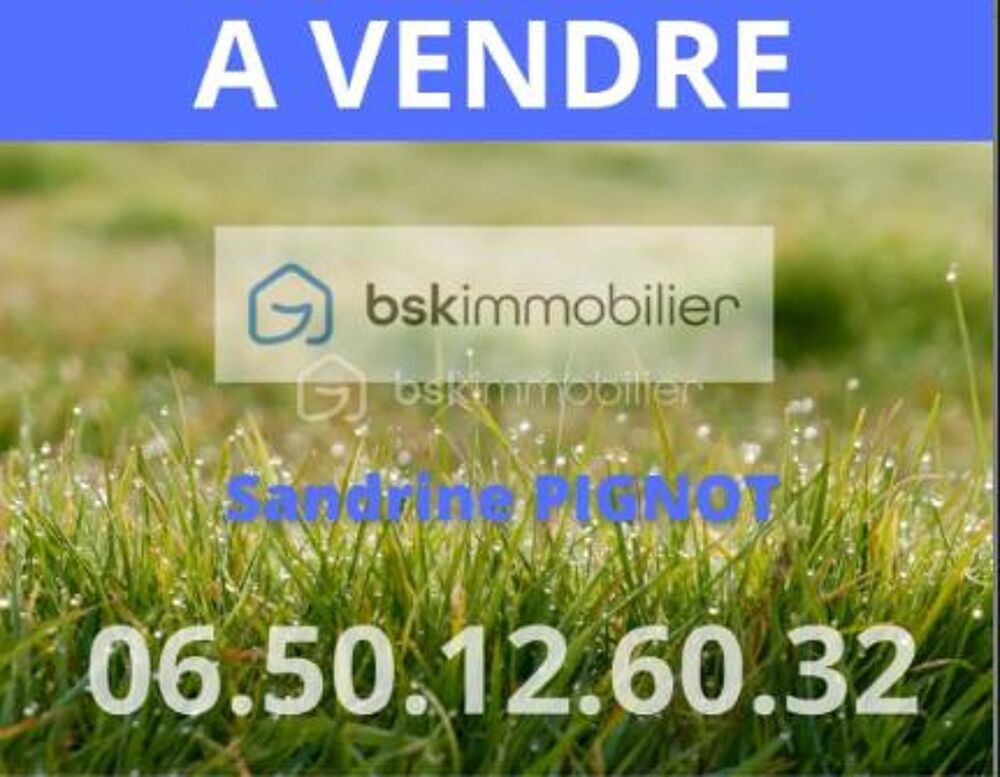 Vente Terrain Terrain à bâtir environ 1300 m² Bazoches sur le betz
