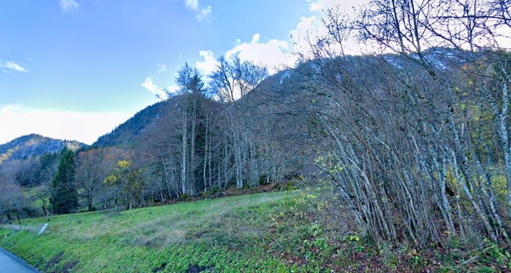 Vente Terrain Dpt Haute Savoie (74),  vendre THOLLON-LES-MEMISES terrain Thollon les memises