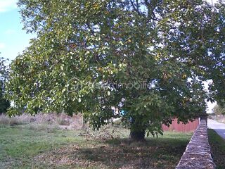  Terrain � vendre 570 m�