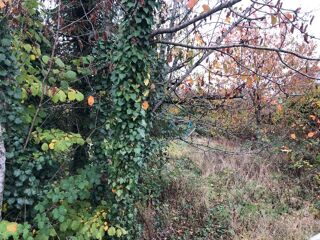  Terrain � vendre 900 m�