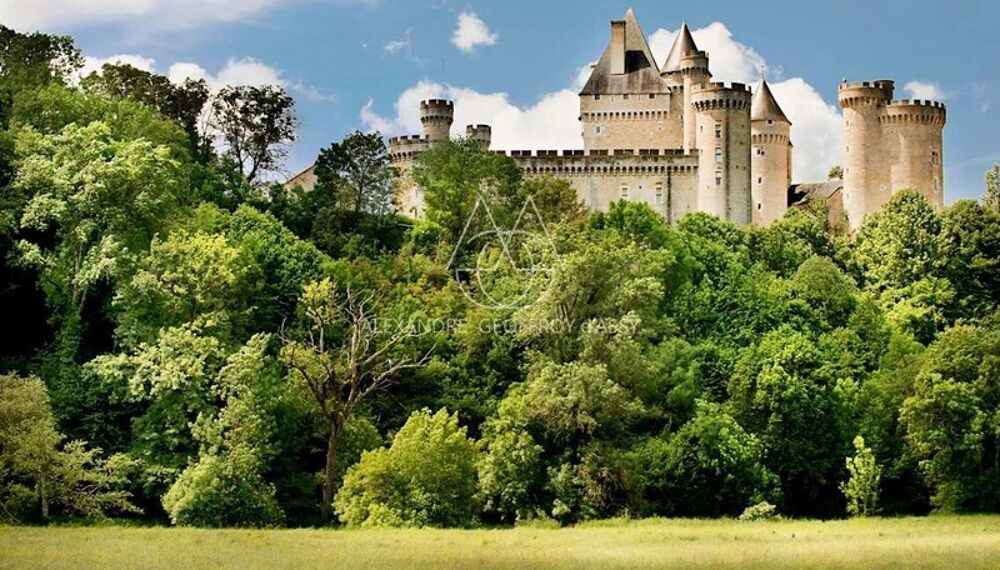 � vendre  Propri�t�/ch�teau Saint-Gaultier (36800)