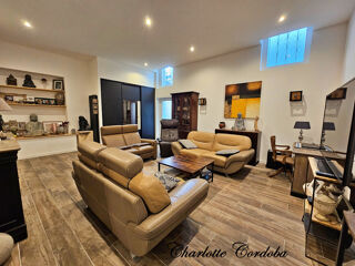  Maison � vendre 9 pi�ces 253 m�