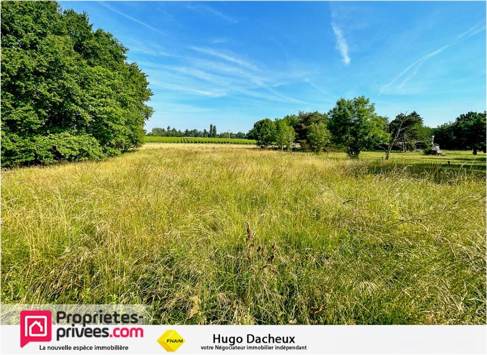 Vente Terrain Terrain Brinay 1242 m2 Brinay